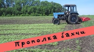 ✔Как мы пропалываем бахчу фрезой| Выращивание бахчи без гербицидов | Эко-продукт || РУССКОЕ ПОЛЕ ||