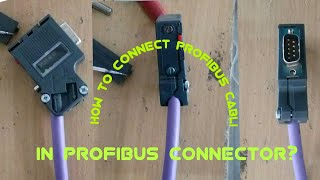 How to wire a PROFIBUS cable to a PROFIBUS connector?