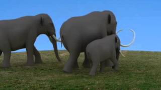 Mammoth family