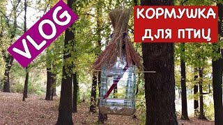 VLOG: Как Сделать Кормушку для Птиц