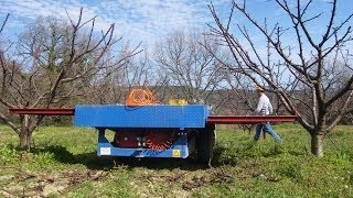 ΚΛΑΔΕΜΑ ΚΕΡΑΣΙΑΣ - POTATURA CILIEGIO