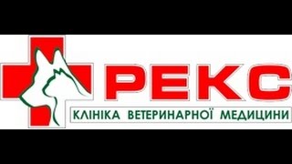 ветеринарна терапія акушерство хірургія клініка Львів, BrilLion-Club 5152