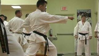 Traditional Shotokan Karate Heian Nidan 2
