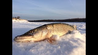 Юморная рыбалка на щуку  зимой