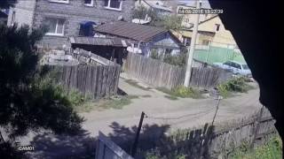соседи алкаши ебанутые орут бегают друг за другом с лопатами и кидаются камнями 1 01 M 082016131802