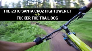 SO FAST! 2018 Santa Cruz Hightower LT -vs- Tucker the Trail Dog