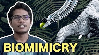 Biomimicry