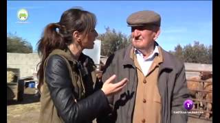 Cómo una cabra. Mohedas de la Jara. Las Chicas del Mecadillo.19.02.15