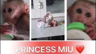Princess MIU holds the bottle herself to drink milk