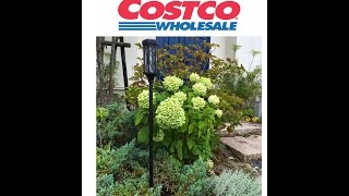 コストコでLEDソーラーガーデンライトを買ったので設置してみた。COSTCO LED torch lights