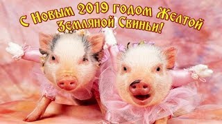Поздравление с Новым Годом 2019! Красивое музыкальное поздравление на Новый Год