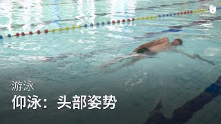 头部姿势 | 学习仰泳