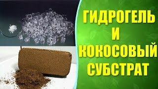 ? Кокосовый субстрат и гидрогель для растений. Применение гидрогеля и кокосового субстрата.