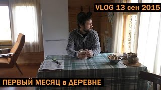 [VLOG_ЛТ]: первый месяц жизни в деревне в своем доме