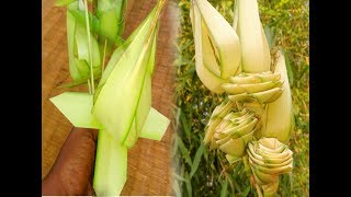 How to make a palm flower brought 3(coconut tree leaf)