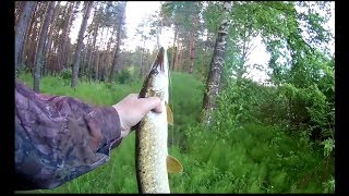 JohnCoo -ThunderBolt 210. Бюджетный кастинговый комплект.