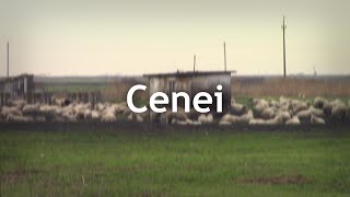 O scurtă poveste despre comuna Cenei