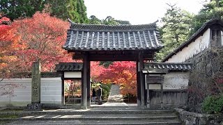 京都･京田辺 紅葉 一休寺  Ikkyū-ji Temple in autumn, Kyoto(2016-11)