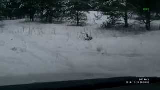 Crow hunting Кроухантинг. 13.12.14. Пляшущий каргет.