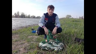 Поехали на леща, а наловили очень много воблы. Реальный ход воблы. Вобла 2019