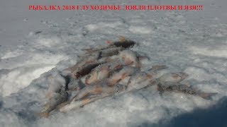 Рыбалка 2018 глухозимье ловля плотвы, язя!!!