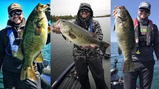 TOP 5 Fishing Lures You NEED For 2019!  (2018 Review)