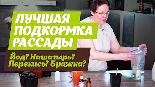 ЛУЧШАЯ ПОДКОРМКА РАССАДЫ? После эксперимента стало все понятно