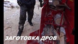 КАК ФИННЫ ЗАГОТАВЛИВАЮТ ДРОВА / ВЛОГ /