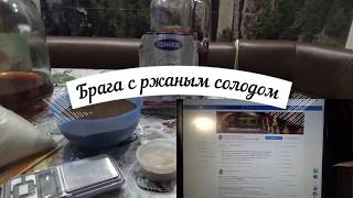 Брага с ржаным солодом