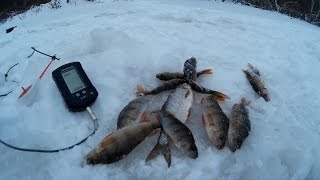 Ловля Окуня и Плотвы Зимой Видео (Эхолот Практик 7 RF) – Клип