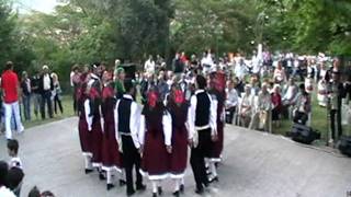 PANIGIRI MIKROPOLIS 1-7-2011 PART 6