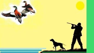 Прицеливание и стрельба по летящей утке. Упреждение