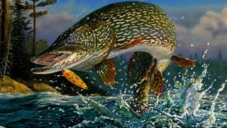 Fishing Planet 0.5.6 Нью-Йорк Эмеральд Уникальная Полосатая Щука