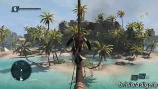 Assassin's Creed 4 Black Flag | AMD Radeon HD 7670m
