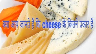 Cheese के विभिन्न प्रकार Top 10 cheese in the world most popular pizza cheese in English ctt