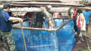 เรื่องของกบบ้านแม่หาด260454p1