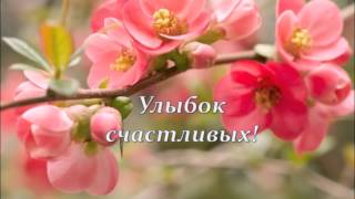 поздравить с днем свадьбы прикольные
