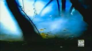 Mortal Kombat 4 Intro (MK4)