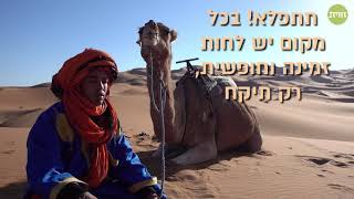 לשתות את הלחות מהאוויר