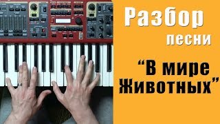 В мире животных - разбор на пианино | кавер - Уроки фортепиано