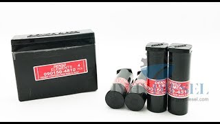 Diesel Plunger 090150 4810 4810 Elements
