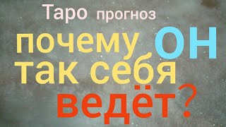 Таро прогноз ПОЧЕМУ ОН ТАК СЕБЯ ВЕДЕТ в чём причина Онлайн гадание на картах Таро asmr видео Hygge