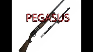 Турецкий полуавтомат "Pegasus" 12/76 (Обзор)