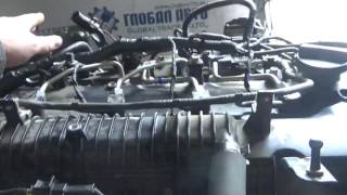 Проверка давления масла в двигателе D4CB F753392 Grand Starex Euro V 2012