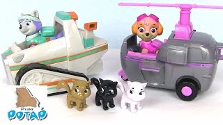 Skye & Everest. Видео для Детей Paw Patrol Щенячий Патруль Мультик! Мультики для Детей с Игрушками