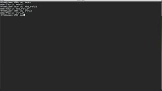 How bash works with .bashrc, .bash_profile and .profile - there differences with examples