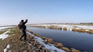 РЕКА В ПОЛЕ КИШИТ ЩУКОЙ!!! Рыбалка на щуку 2019! Ловля щуки весной на спиннинг на реке на джиг