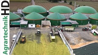 CLAAS Jaguar 980 | FENDT Traktoren 724 - 939 | Lohnunternehmen Steyns häckselt Mais