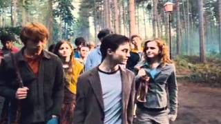 Harry Potter Song Spoofs