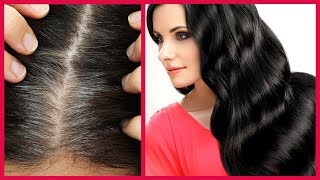 চুল যতই সাদা হোক মাত্র ১বারের ব্যবহারেই গোঁড়া থেকে কালো করে দেবে || Turn White Hair to Black